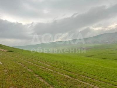 Продаю участок пром назначения, 200 соток Баш-Кара-Суу .