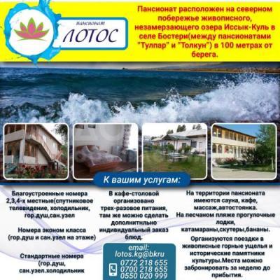 Пансионат "Лотос"