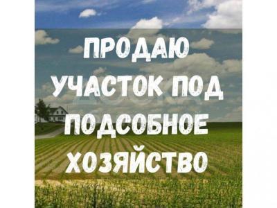 Продаю участок сельхоз назначения, 13.6 га Сокулукский р-он.