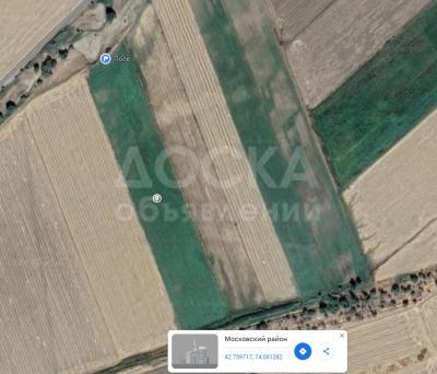 Продаю участок сельхоз назначения, 2,7 га от Беловодска 10км вверх.