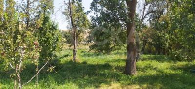 Продаю дом 4-ком. 65кв. м., этаж-1, 12-сот., стена саман, село Прохладное (Горный Орел), старый ремонт - 85.000$.