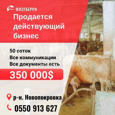Продаю участок сельхоз назначения, 50 соток Новопокровка.