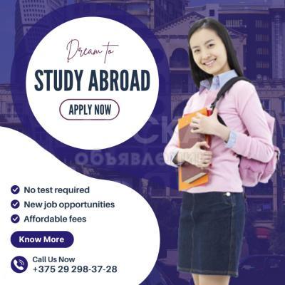 Обучение в Беларуси