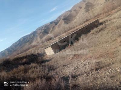 Продаю участок сельхоз назначения, 5 га с. Кызыл-Туу.