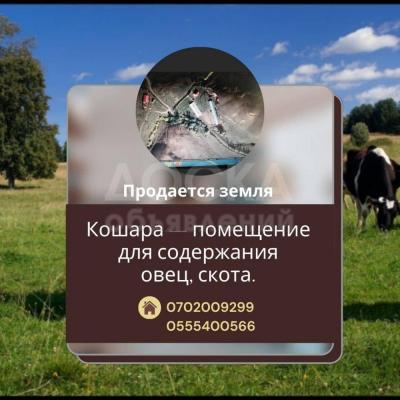 Продается земельный участок для содержания овец и скота!
 Ыссык-Атинском районе. . Ыссык-Атинском районе. . Ыссык-Атинском районе. .