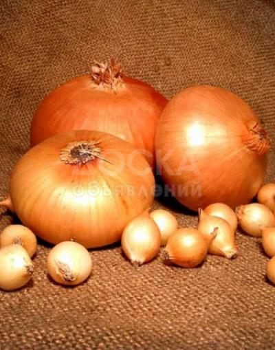 Элитные семена