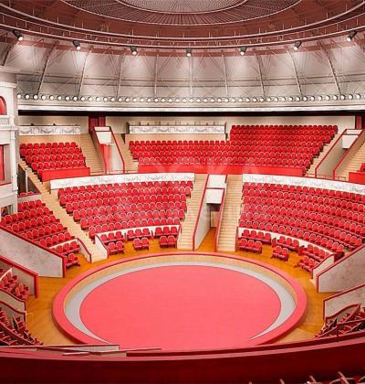 Приглашаем в цирковую группу акробатического жанра!