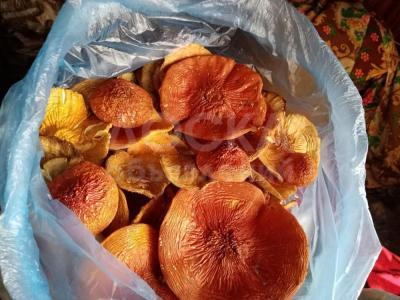 Мухомор пантерный и красный сушоный - Продам !