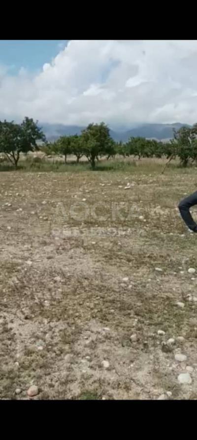 Продаю участок под строительство, 8 соток Чон-Сары-Ой.