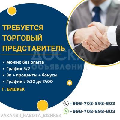 Требуется торговый представитель по городу Бишкек