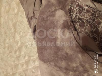 Пальто размер до 46