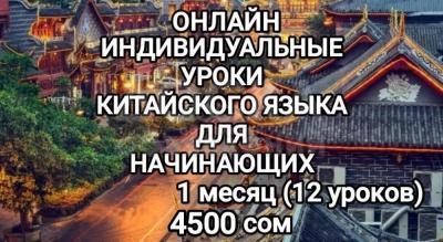 Онлайн индивидуальные уроки китайского