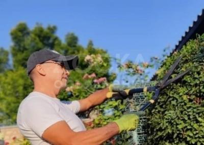 "Садовник на час"! Обрезка, обслуживание сада.