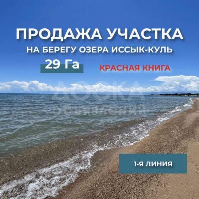 Продаю участок под строительство, 29, 22 га Балыкчы .