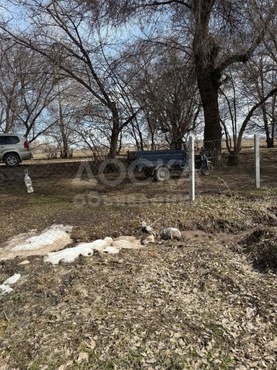 Продаю участок сельхоз назначения, 1,19 га Арашан.