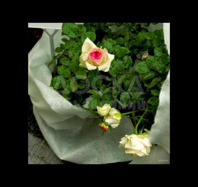 Зимнее укрытие для роз и цветущих кустарников Агротекс.