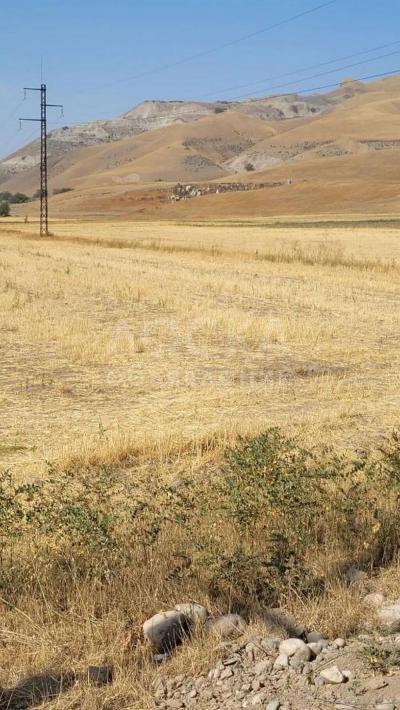 Продаю участок сельхоз назначения, 1.5 га с. Бешкунгей.