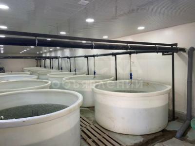 Продаю производственное помещение 300кв. м., Токмок.