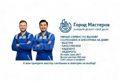 Сантехник и Электрик