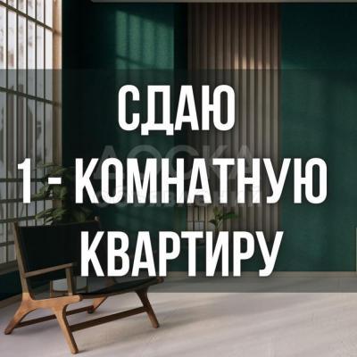 Сдаю 1-комнатную квартиру, 1кв. м., этаж - 4/5, Гоголя / Киевская.