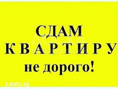 Сдаю 1-комнатную квартиру, 30кв. м., этаж - 2/2, Аламедин  р/к .