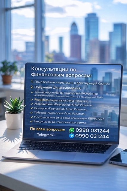 Консультации по финансовым вопросам в Бишкеке