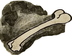 Кашка жилик