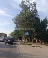 По Лермонтова от Салиевой до Жибек Жолу асфальт идет волнами