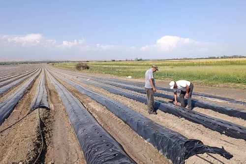 Для внедрения водосберегающих технологий в Кыргызстане потребуется до $450 млн