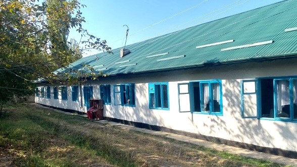 Фото: Turmush
