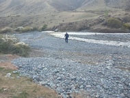 Сүрөт: Turmush