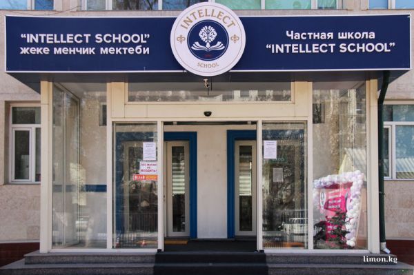 29107de1a8e4a71a7cf86b2ba26a073b_600_0_0