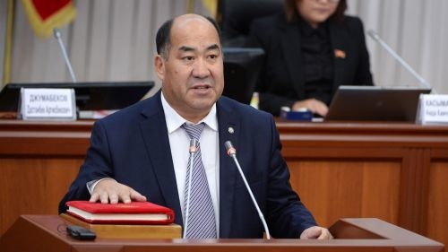 041be2f60af6662691d1fa7c2bccd2ee_500_0_0